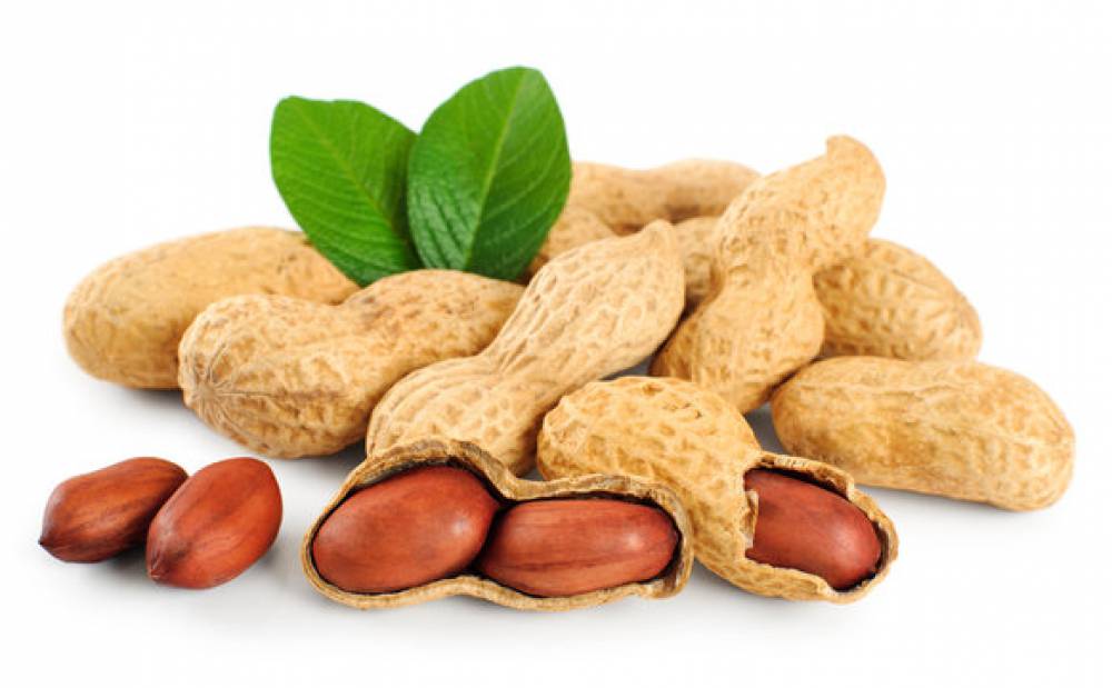 Image Groundnut